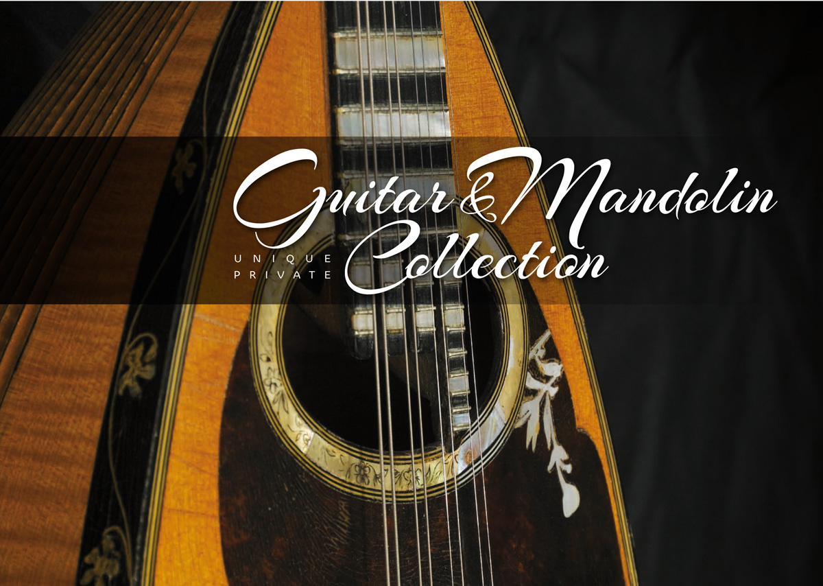 Unique historic guitar & mandolin collection